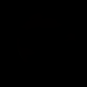 The artist's impression of 2MASS J2202-5605 b artist's rendition