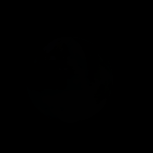 46