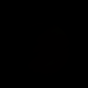 The artist's impression of K2-409 b artist's rendition