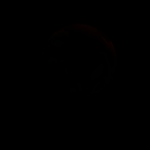 artist's rendition