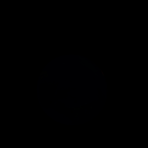 artist's rendition