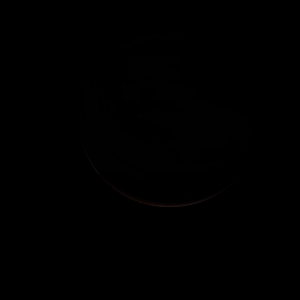 artist's rendition