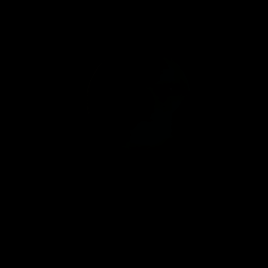 artist's rendition