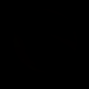 The artist's impression of LRL 2296 artist's rendition