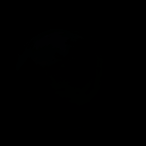 artist's rendition