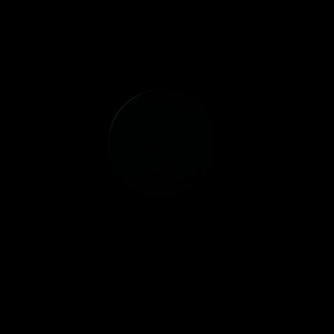 artist's rendition
