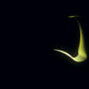 mystify 105, screensaver fun, textures web kunst