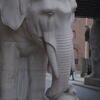 elephant, boring denmark, session406