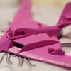  pink army airplane, meinungsgade, session286