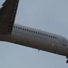kastrup, lufthavn, airplanes, session210