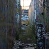 spraycan scrap yard, session489