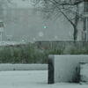 snow, snevejr, session113