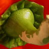 photocare