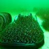 my hovercraft is full of eels, deep learning, art experiments