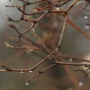  water drops, copenhagen, winter, session360