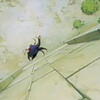 the five star stories dvd 0006, movies