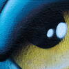 cubic bird, graffiti, eye, session489