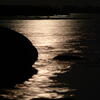 moonlight nightshot 3444, jan, madsen, jyllinge, session156