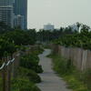 miami, miami, session168
