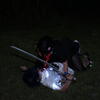 sword fight, Jok, venner