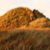 DSCN036 volcano, skagen, sommerhus, summer house, session320