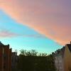 strange pink sky, gaden og gården, backyard, misc