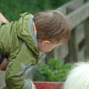  kid and horse, zoo, session193